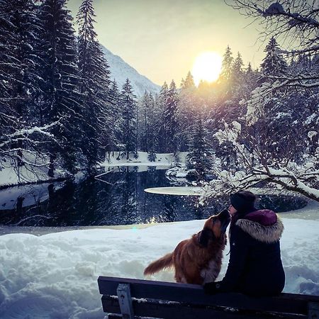Apartment Maya, La Praz, Chamonix Mont Blanc エクステリア 写真