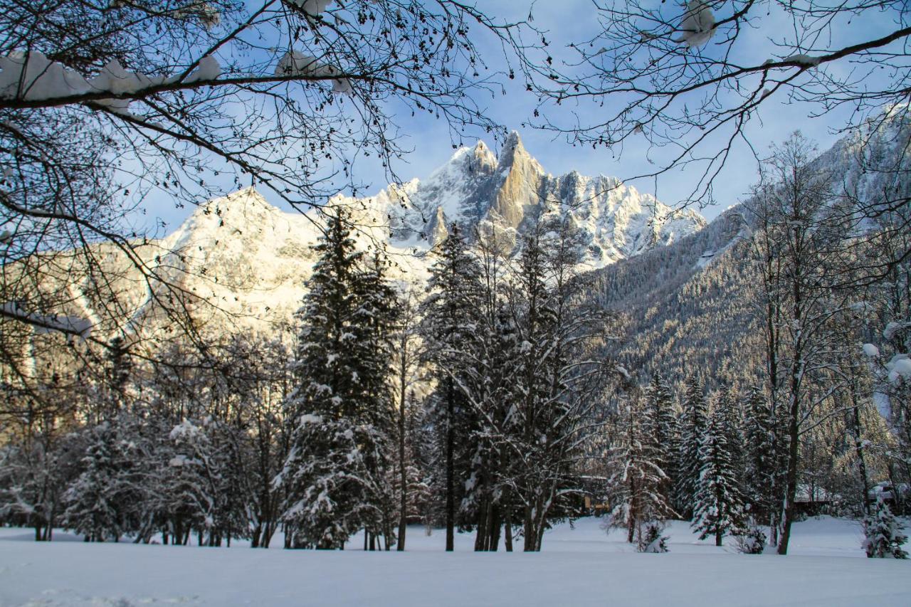 Apartment Maya, La Praz, Chamonix Mont Blanc エクステリア 写真