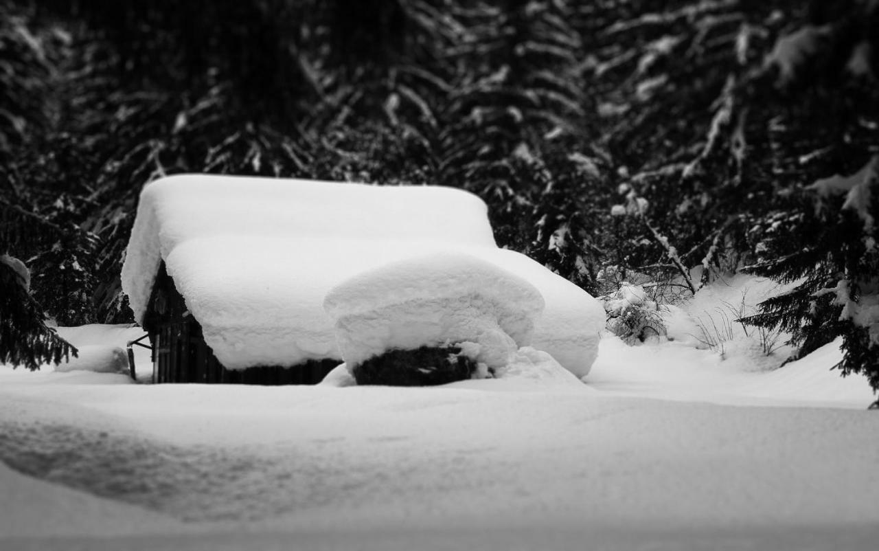 Apartment Maya, La Praz, Chamonix Mont Blanc エクステリア 写真